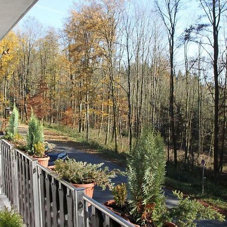 Pension Walddorf Winterberg Kültér fotó