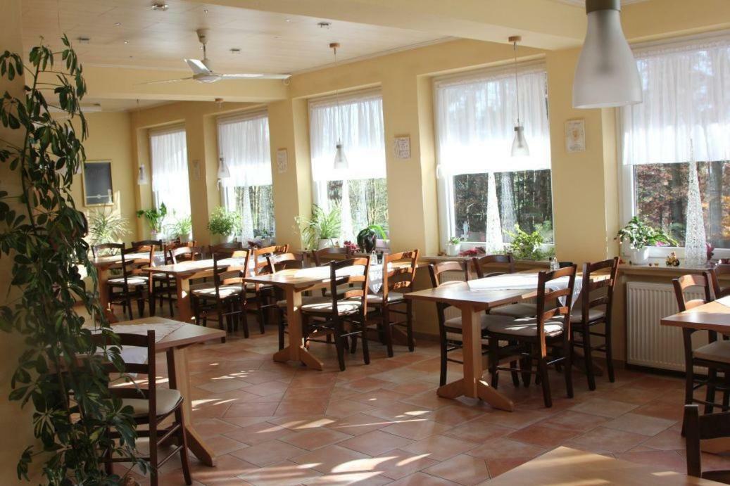 Pension Walddorf Winterberg Kültér fotó