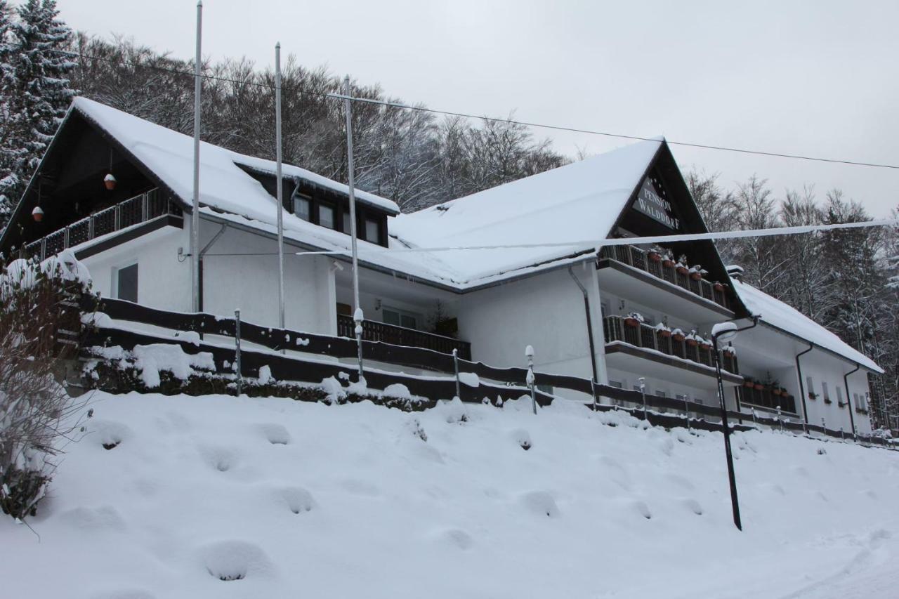 Pension Walddorf Winterberg Kültér fotó