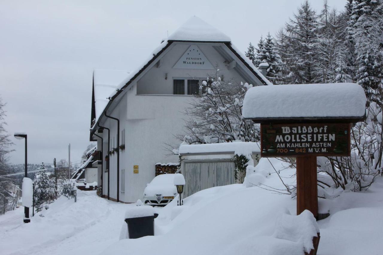 Pension Walddorf Winterberg Kültér fotó