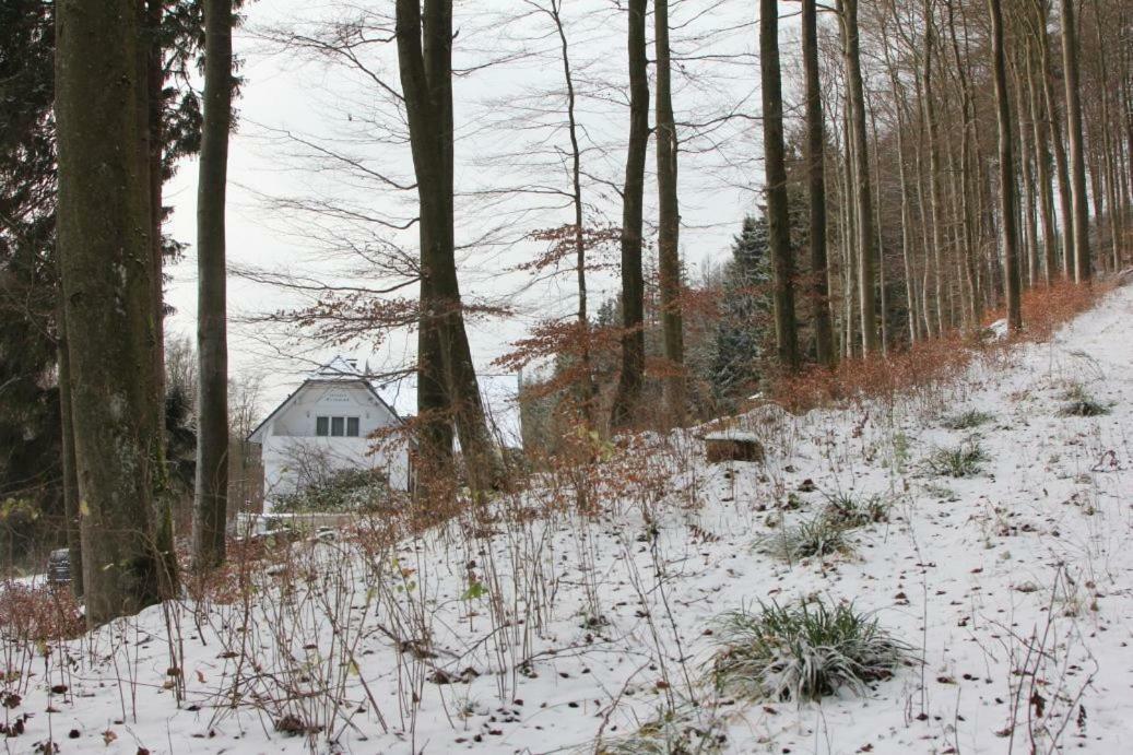 Pension Walddorf Winterberg Kültér fotó