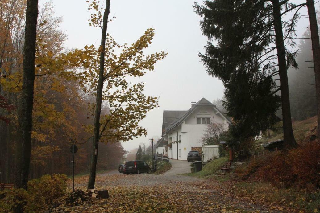 Pension Walddorf Winterberg Kültér fotó