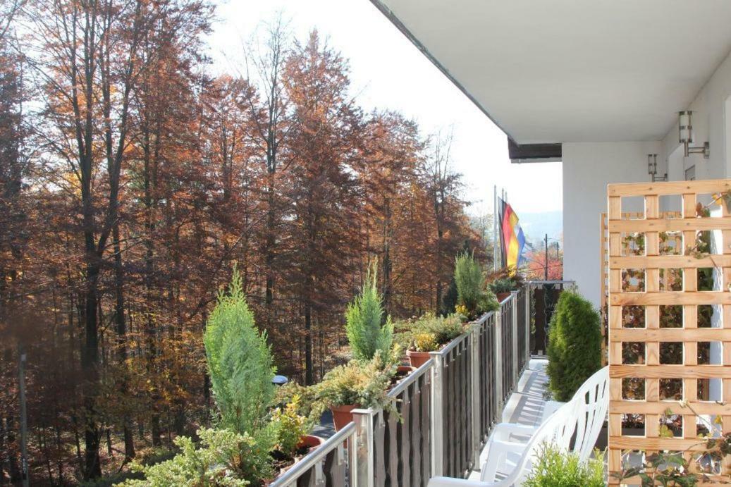Pension Walddorf Winterberg Kültér fotó