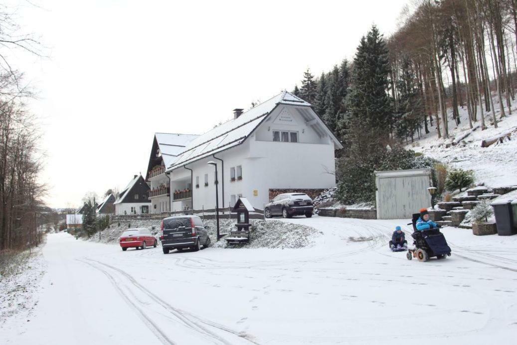 Pension Walddorf Winterberg Kültér fotó