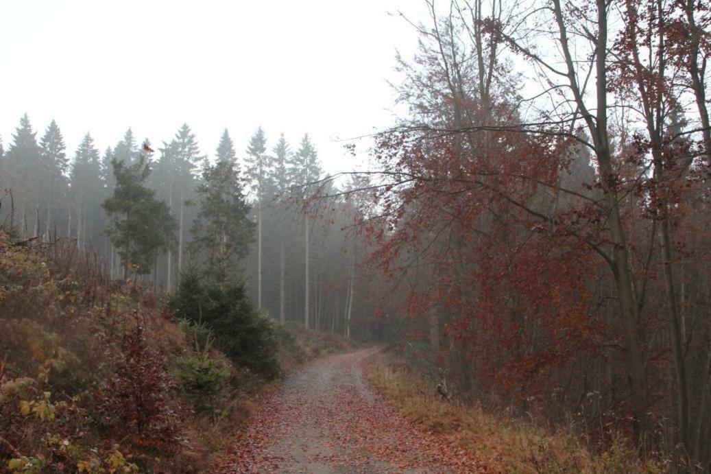 Pension Walddorf Winterberg Kültér fotó