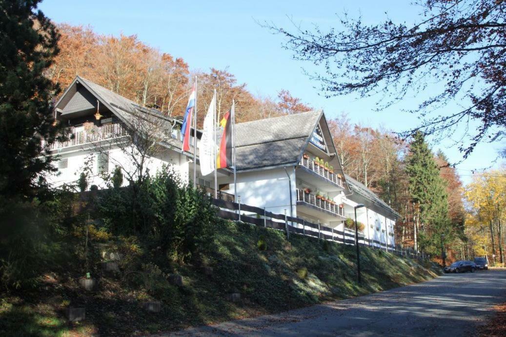 Pension Walddorf Winterberg Kültér fotó